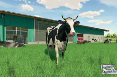 Görsel 4: Farming Simulator 22 Sistem Gereksinimleri - Rehber - Oyun Dijital